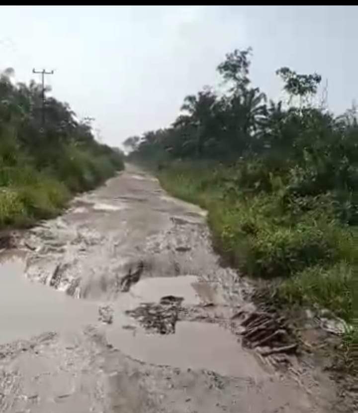 Jalan Akses Perkebunan PT Kimia Tirta Utama 